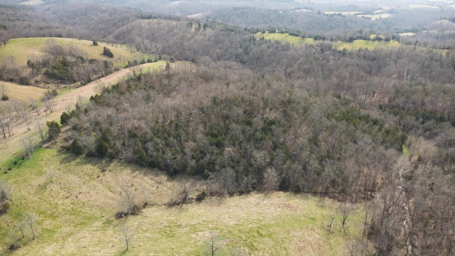 Listing Image 46