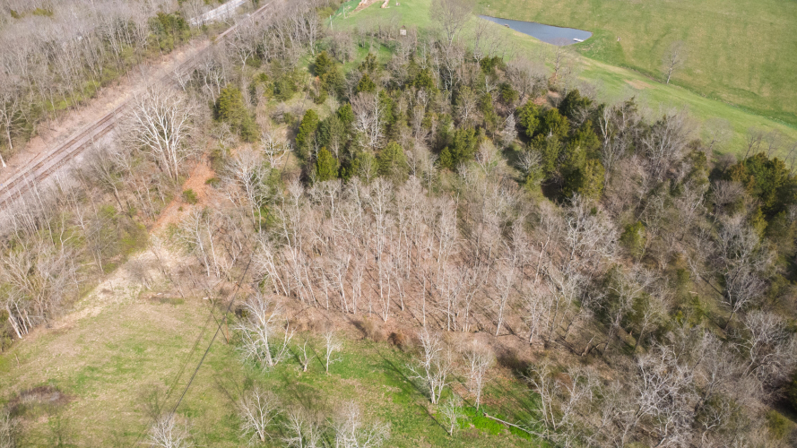 Listing Image 58