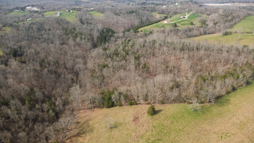 Listing Image 59
