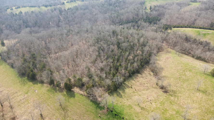 Listing Image 62