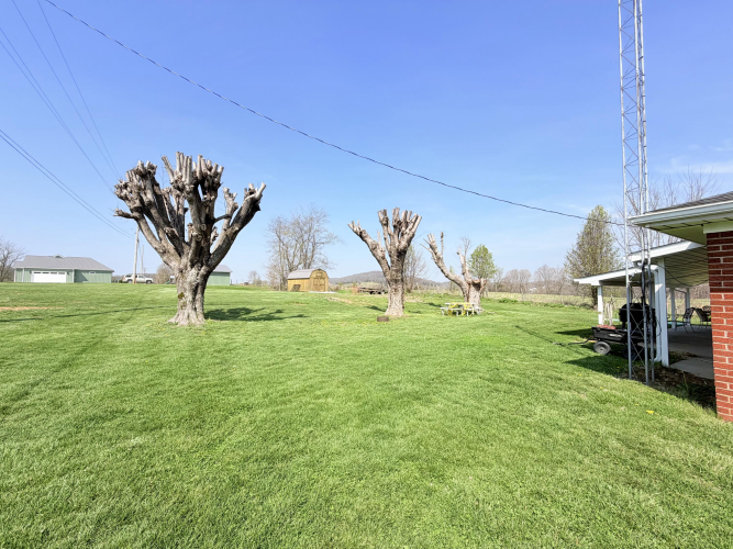 Listing Image 10