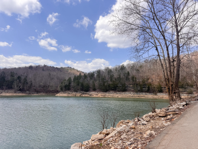 Listing Image 49