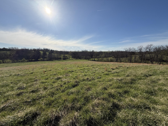 Listing Image 45