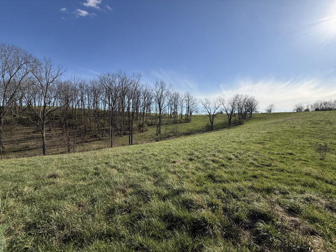 Listing Image 47