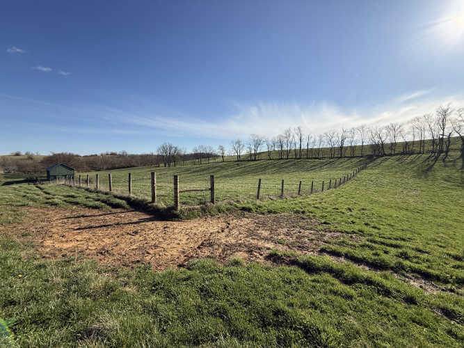 Listing Image 48