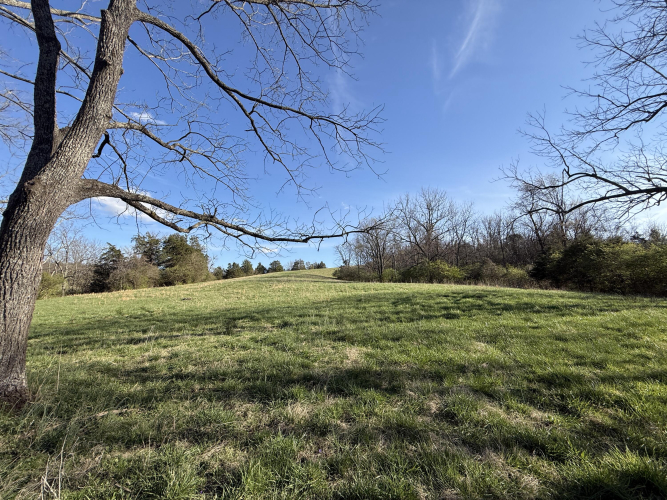 Listing Image 49