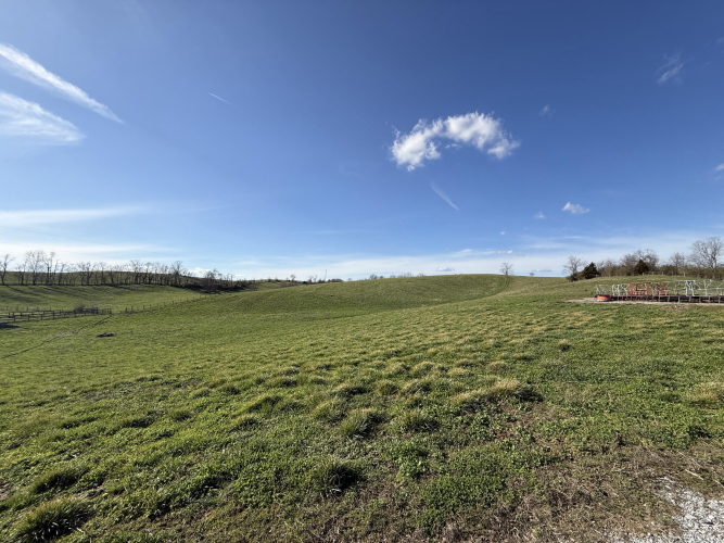 Listing Image 51