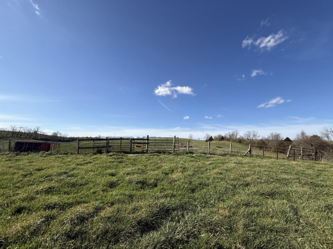 Listing Image 53