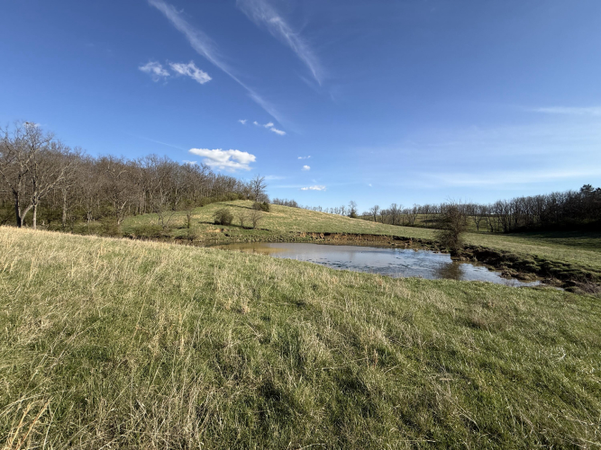 Listing Image 54