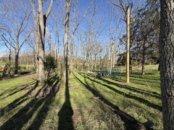Listing Image 56