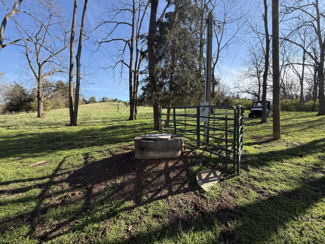 Listing Image 60