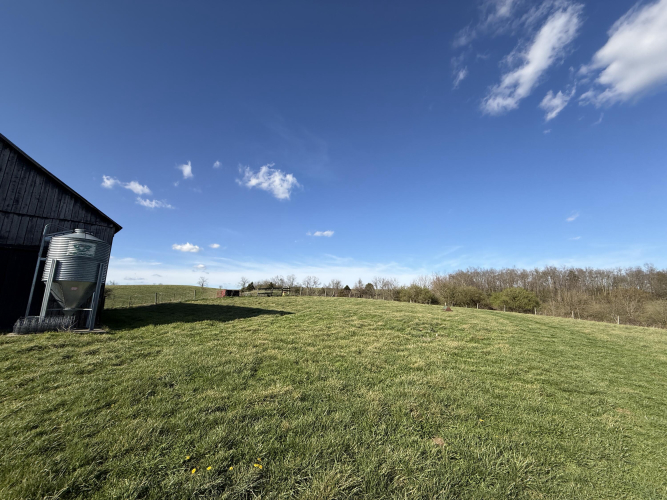 Listing Image 80