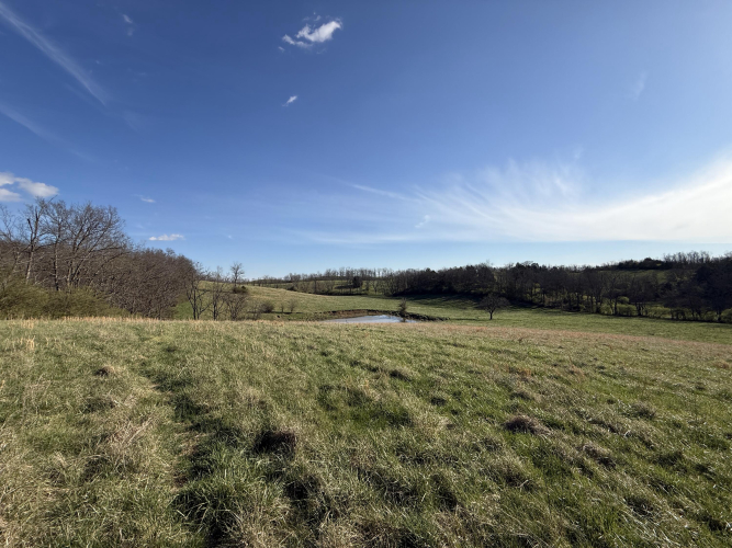 Listing Image 46