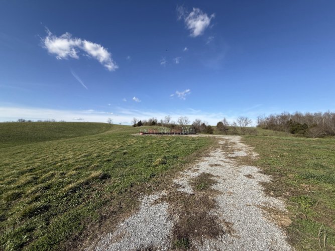 Listing Image 50