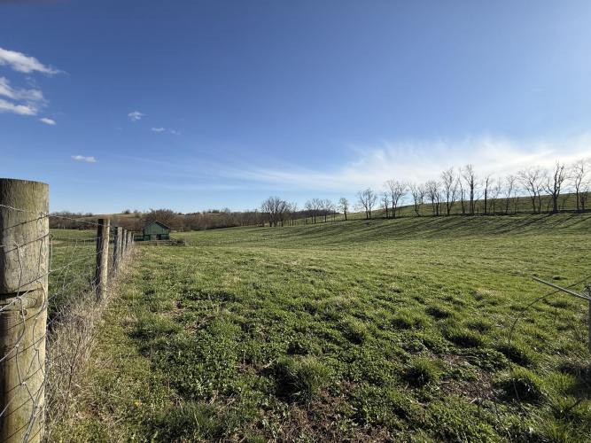 Listing Image 55