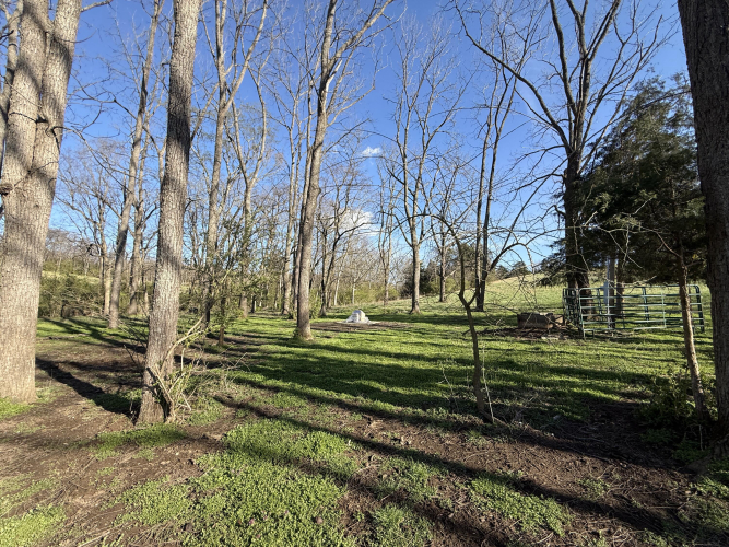 Listing Image 58