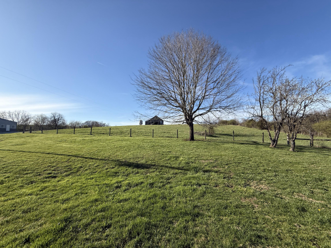 Listing Image 88