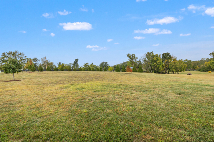 Listing Image 73