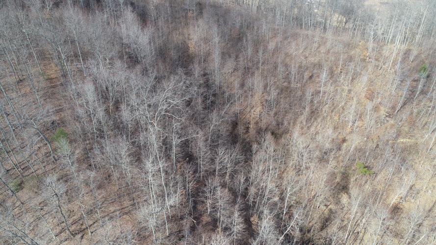 Listing Image 17