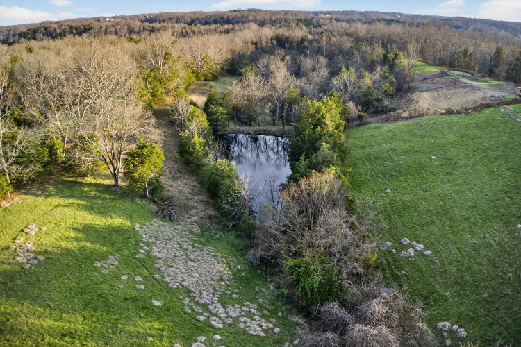 Listing Image 75