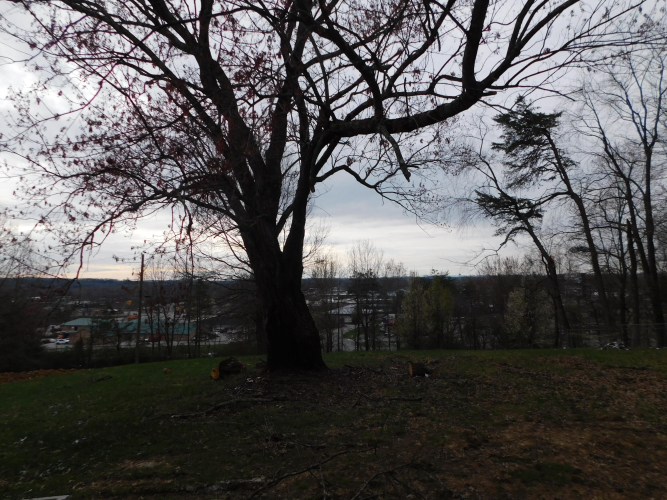 Listing Image 13