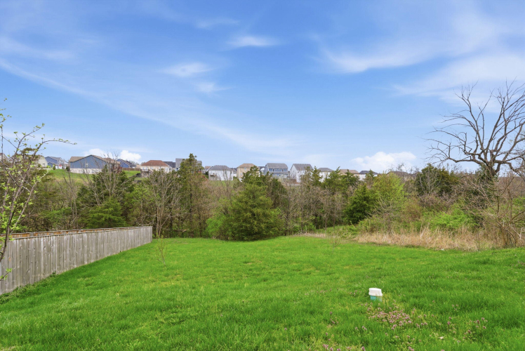 Listing Image 50
