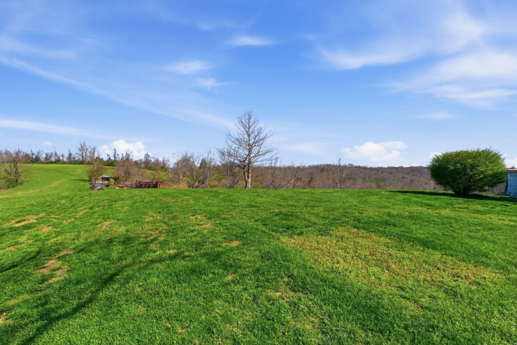 Listing Image 54