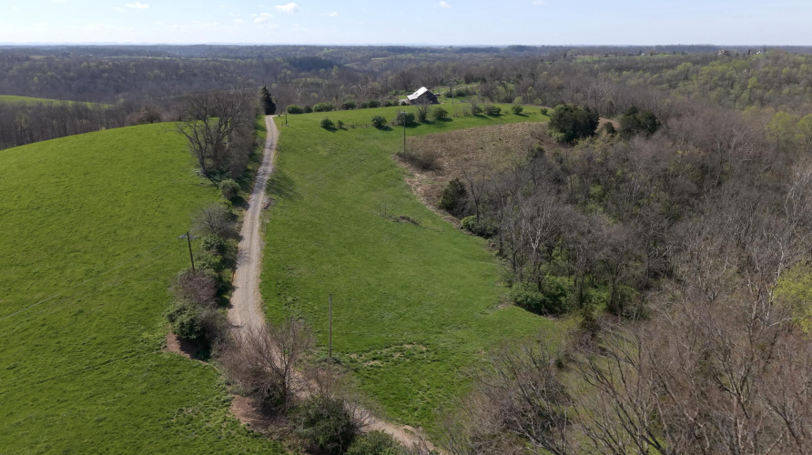 Listing Image 14
