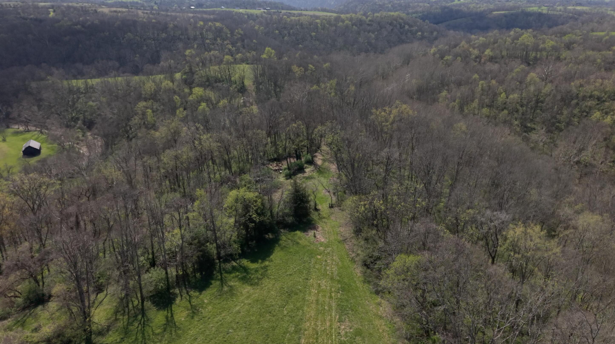 Listing Image 20