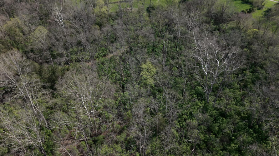 Listing Image 27