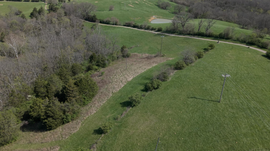 Listing Image 28