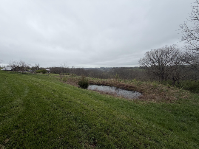 Listing Image 29