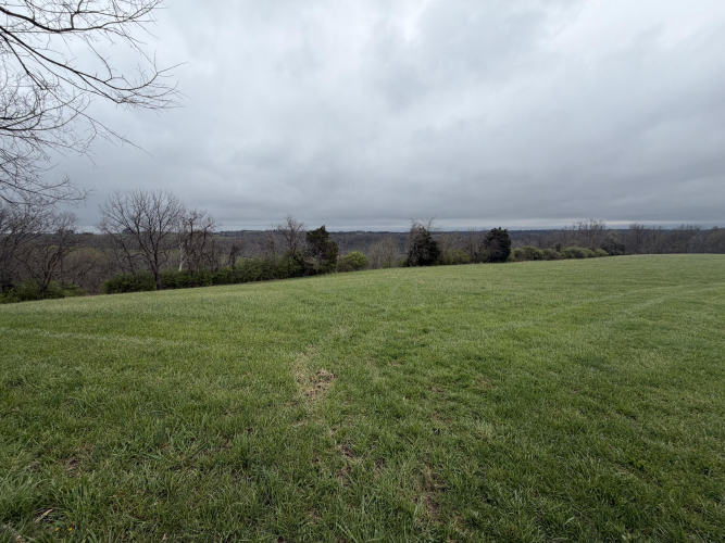 Listing Image 30