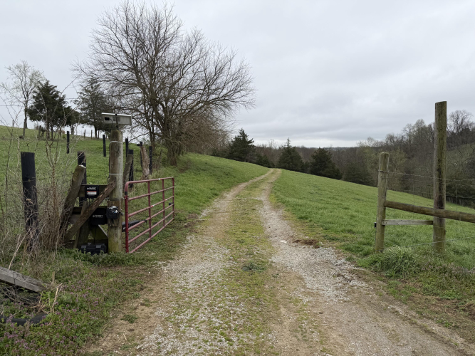 Listing Image 34
