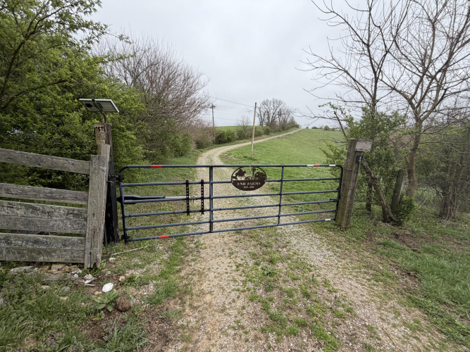 Listing Image 35