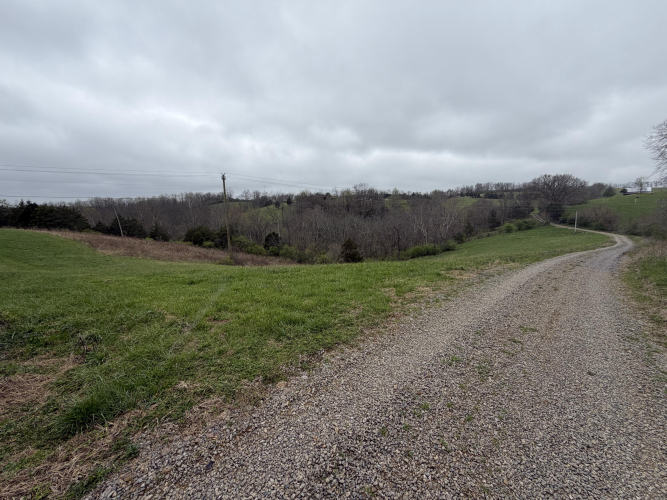 Listing Image 38