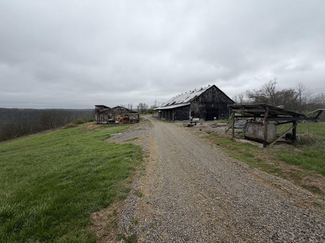 Listing Image 44