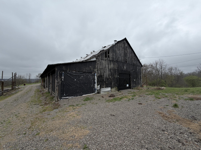 Listing Image 45