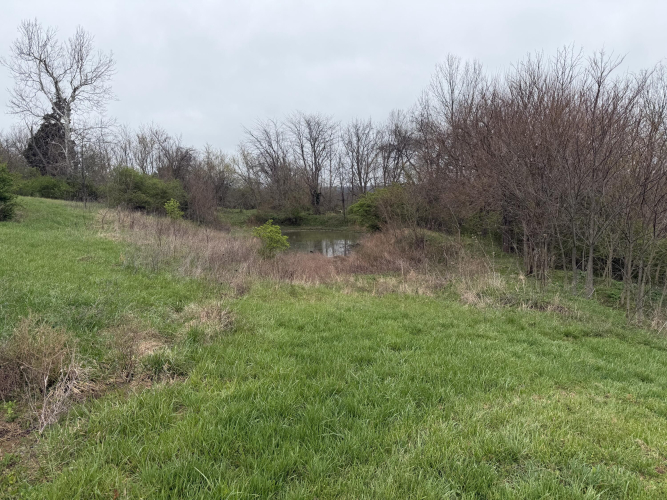 Listing Image 59