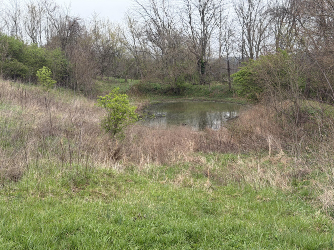 Listing Image 60