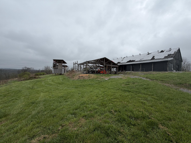 Listing Image 61
