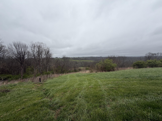 Listing Image 63