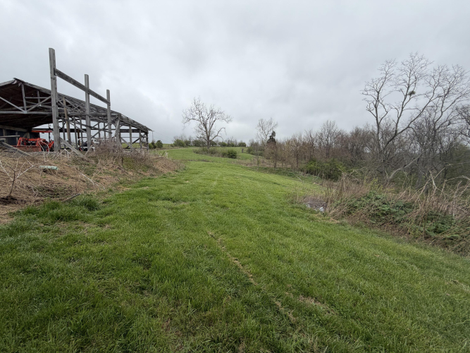 Listing Image 64
