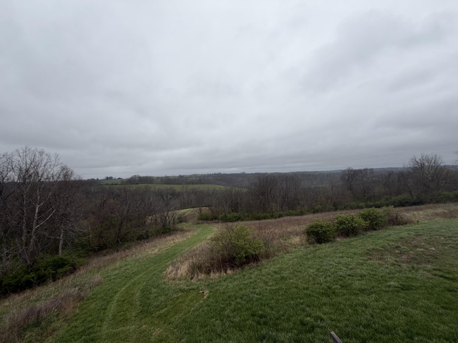 Listing Image 65