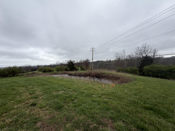 Listing Image 76