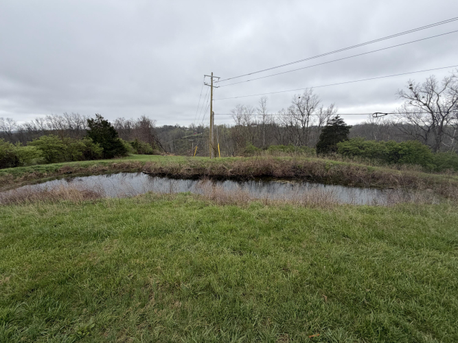 Listing Image 77