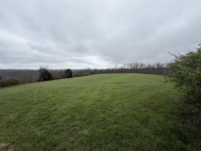 Listing Image 78