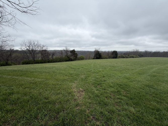 Listing Image 79