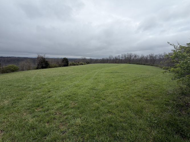 Listing Image 80