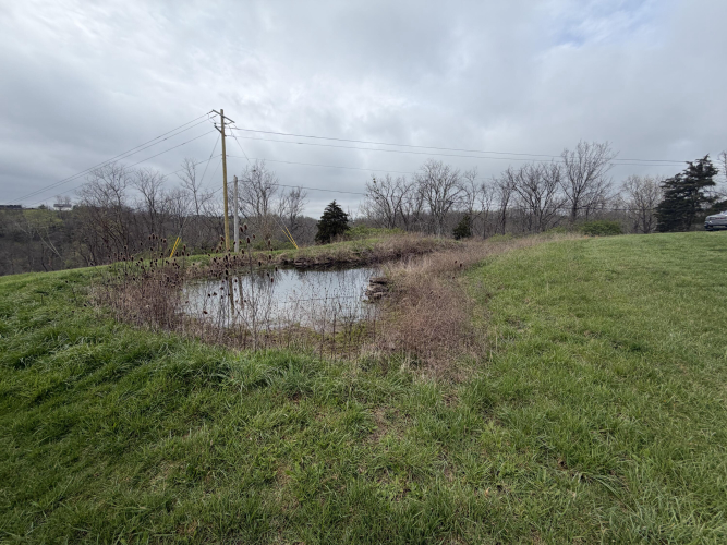Listing Image 81